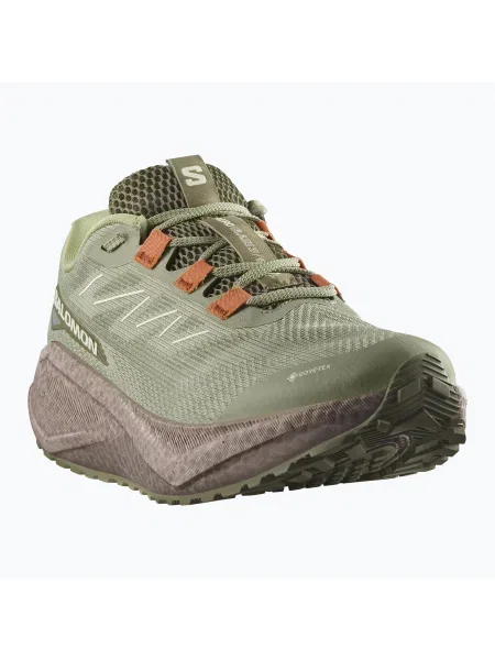 Кросівки для бігу Salomon Aero Blaze 3 Gravel GTX tea/iron/burnt ochre