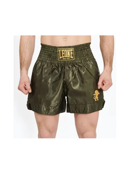 Спортивні шорти Leone 1947 зелені