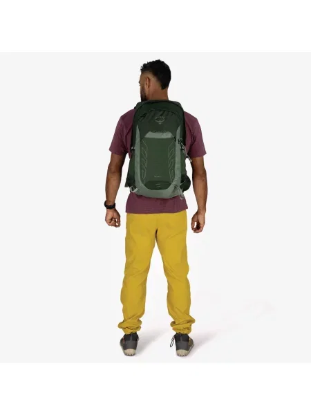 Rucsac Osprey Talon 22 Green Canopy/ Pine Leaf 22 l verde