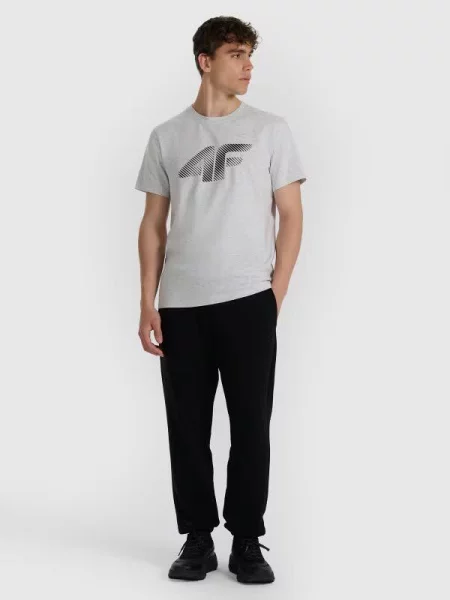 T-shirt regular z nadrukiem 4F szara