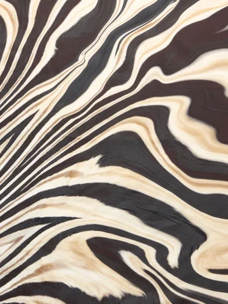 Fular Roberto Cavalli cu imagine negru