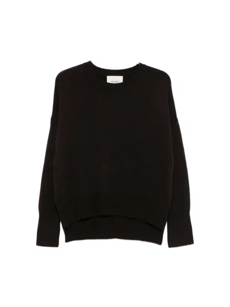 Sweter Lisa Yang z kaszmiru brązowy