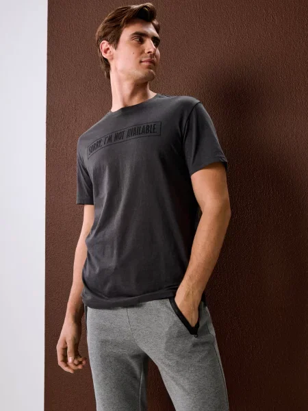 Спортивні штани джогери сірий