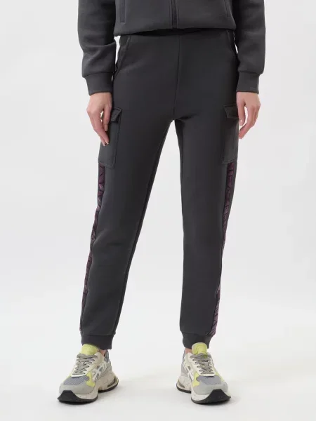 Спортивні штани Ea7 Emporio Armani сірі