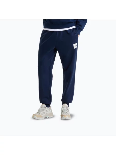 Pantaloni pentru bărbați The North Face Evo Box Half Dome Regular Tappered summit navy marină