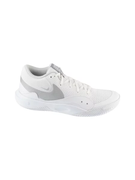 Pantofi Nike gri