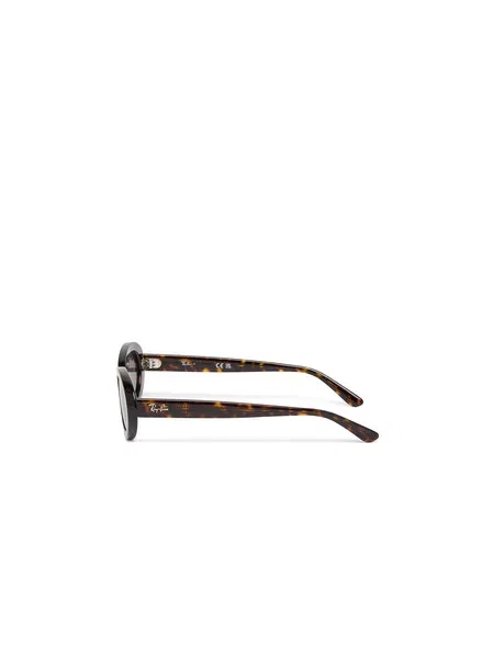 Hodinky Ray-ban hnedá