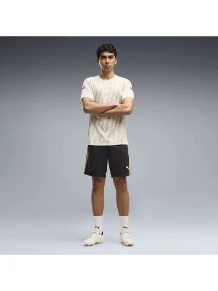 PUMA MÄ™skie szorty individualFINAL OdzieÅ¼ BeÅ¼owy S