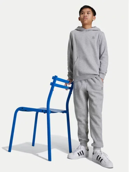 Adidas Μπλούζα γκρι