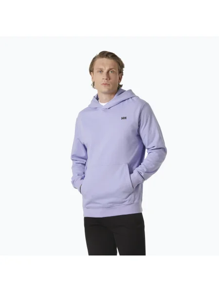 Hanorac pentru bărbați Helly Hansen Core Graphic Sweat Hoodie bright lavender