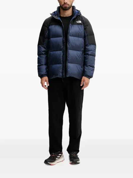 Geacă The North Face albastru