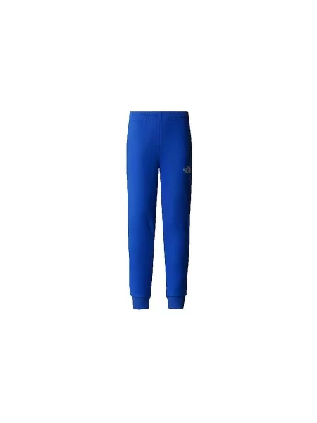 Pantaloni The North Face albastru