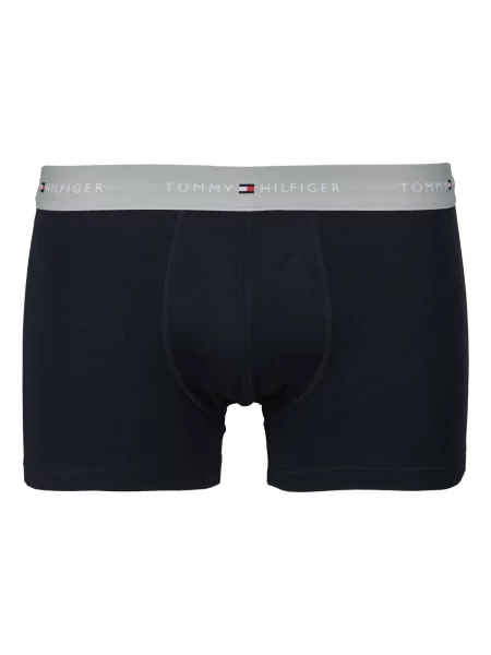 Chiloți Tommy Hilfiger albastru