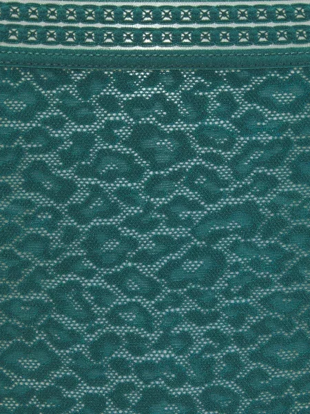 LASCANA Tanga smarald verde