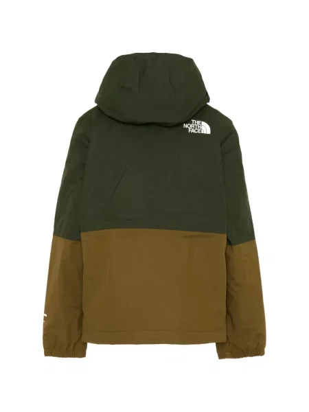 Μπουφάν The North Face πράσινο