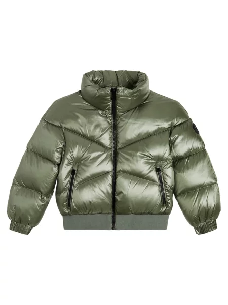Πουπουλένιο μπουφάν Woolrich γκρι