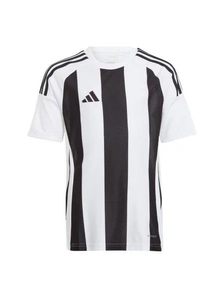 Koszulka Striped 24 Kids biała