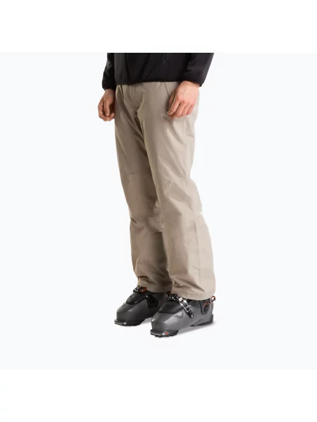 Pantaloni de schi pentru bărbați The North Face Descendit stone slab