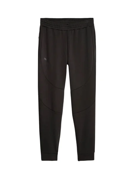 PUMA Sportovní kalhoty Hoops Team Dime' černá