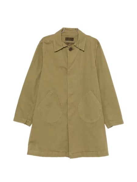 Palton Chesapeakes verde