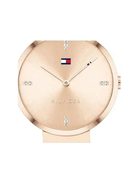 Hodinky Tommy Hilfiger