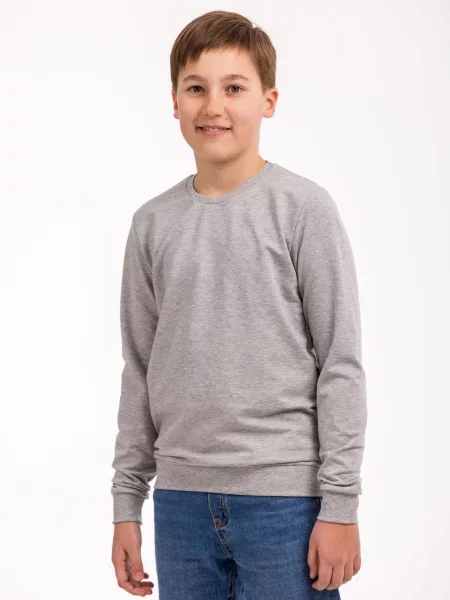 Дитячий Світшот Наталюкс сірий