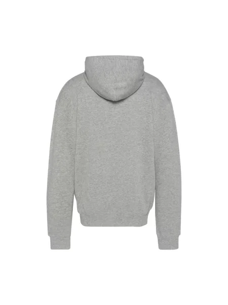 Bluza z kapturem Schott Nyc z kapturem szara