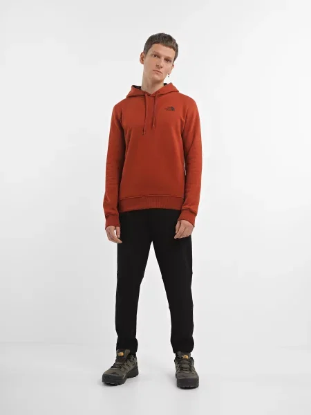 Худи The North Face