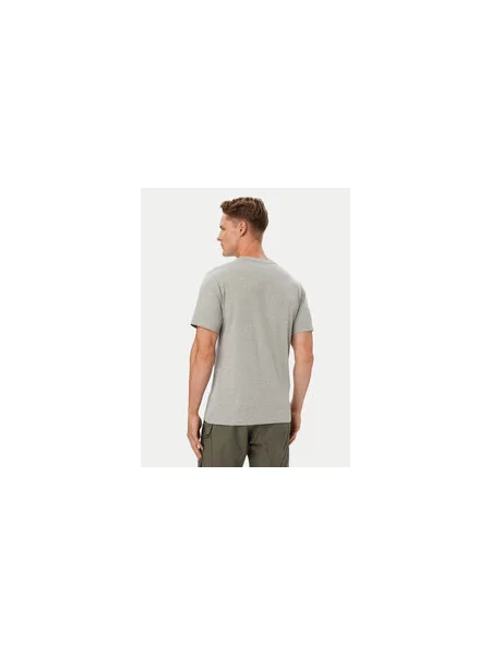 The North Face T-shirt Evolution Simple Dome Regular Fit siva