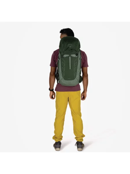 Rucsac Osprey Talon 33 Green Canopy/ Pine Leaf Universal verde