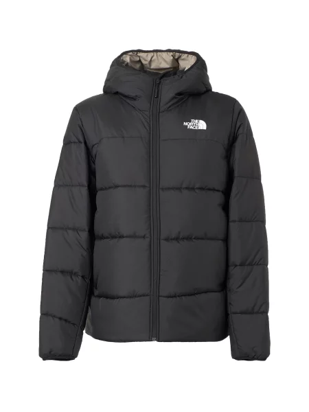 THE NORTH FACE Geacă de iarnă NSE' negru