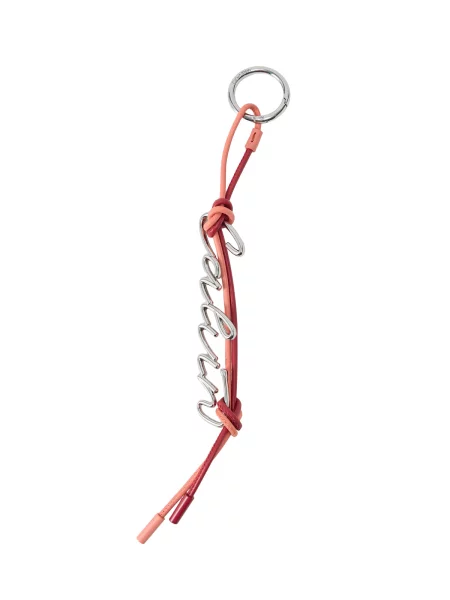 Calvin Klein Accesorii geantă / argintiu roșu