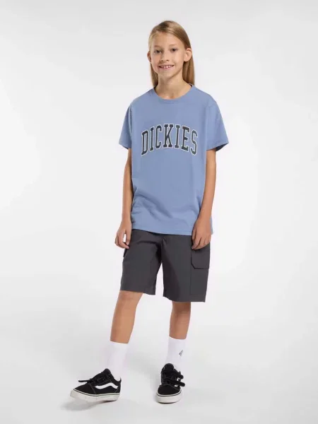 Детские шорты Dickies серые
