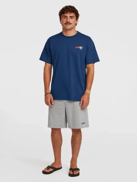 O'NEILL Pantaloni Essentials amestecat gri