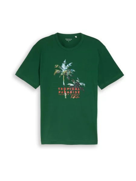 TOM TAILOR Tricou azuriu / verde / verde deschis roșu