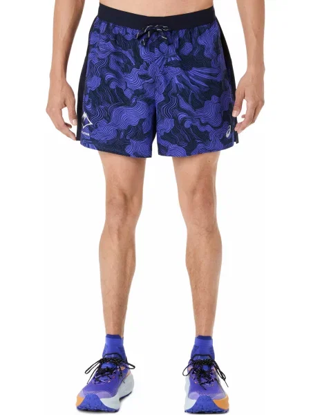 Спортивні шорти Asics синій