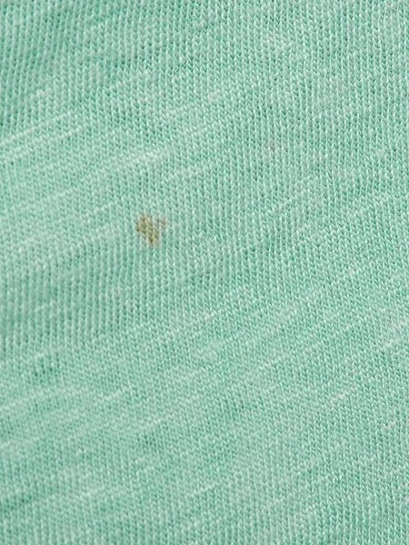 Tricou Maje de in albastru