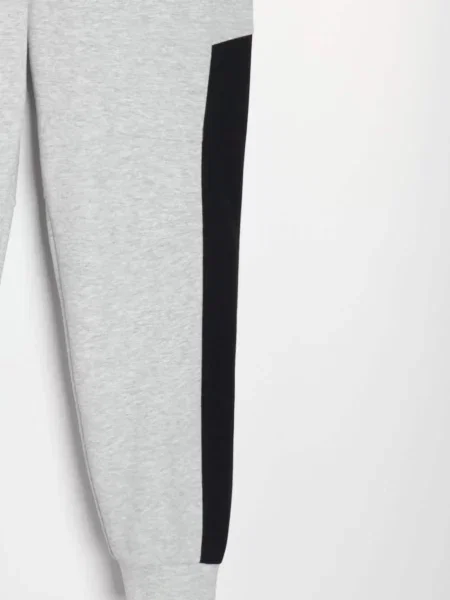 Джогери Active сірий