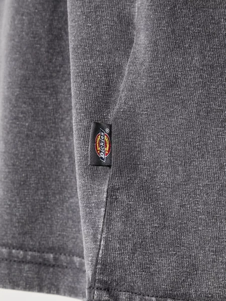 Футболка Dickies