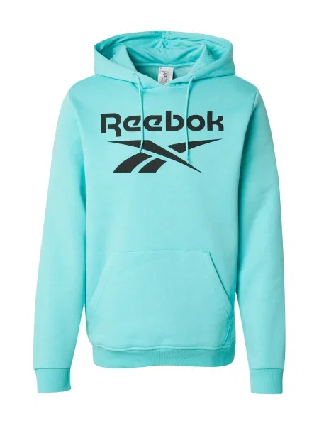 Pánska mikina Reebok Identity Big Logo Fleece Hoodie ai aqua čierna