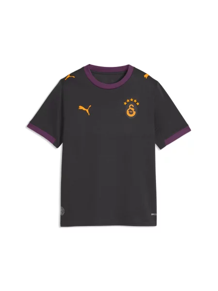 PUMA Młodzieżowa koszulka wyjazdowa Galatasaray S.K. Akcesoria szary