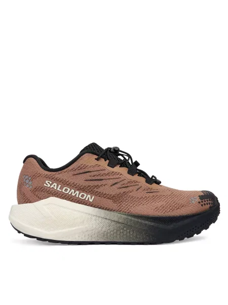 Bėgimo batai Salomon Aero Blaze 4 ruda