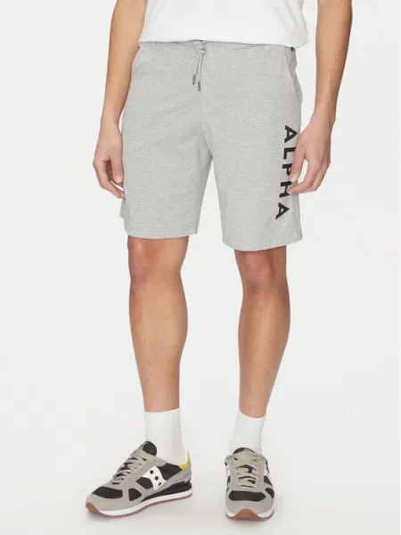 ALPHA INDUSTRIES Pantaloni amestecat / negru gri