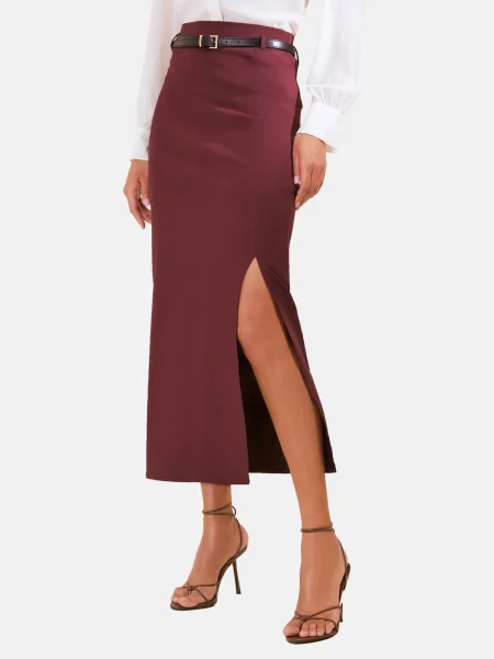 Friends Like These Fustă burgundy roșu