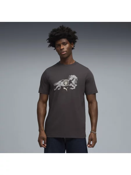 PUMA koszulka Manchester City × Year of the Horse Akcesoria S szary