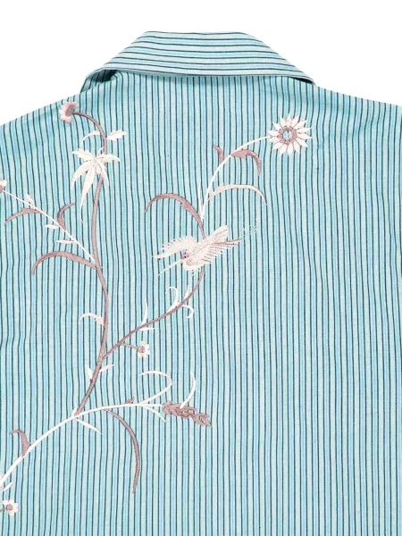 Риза Baziszt на райета синьо