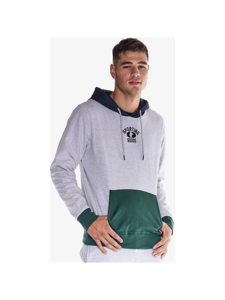 Jasnoszara zielona bluza z kapturem Leone College Tricolor L szara