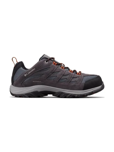 Pantofi Columbia gri