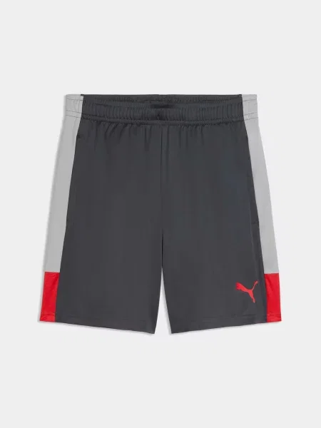 Спортивні шорти PUMA Individualliga Trg Shorts комбінований верх сірий