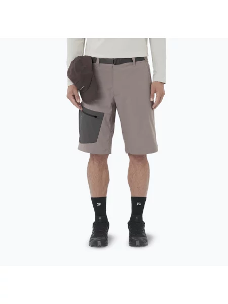Мъжки туристически шорти Salomon Outerpath Utility iron бежово